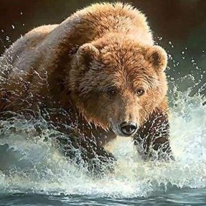 Diamond Painting - Orso Nel Fiume Diamond Painting | Seos Shop ®