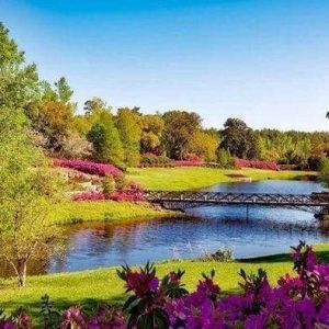 Diamond Painting - Paesaggio Diamond Painting | Seos Shop ®