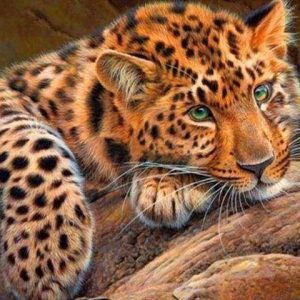 Diamond Painting - Pantera Diamond Painting | Seos Shop ®