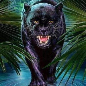 Diamond Painting - Pantera Nera Minacciosa Diamond Painting | Seos Shop ®