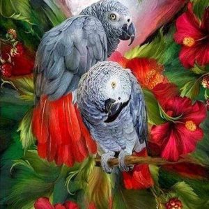 Diamond Painting - Pappagalli Rossi E Grigi Diamond Painting | Seos Shop ®