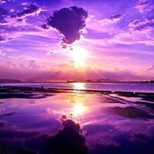 Diamond Painting - Paradiso Rosa Diamond Painting | Seos Shop ®