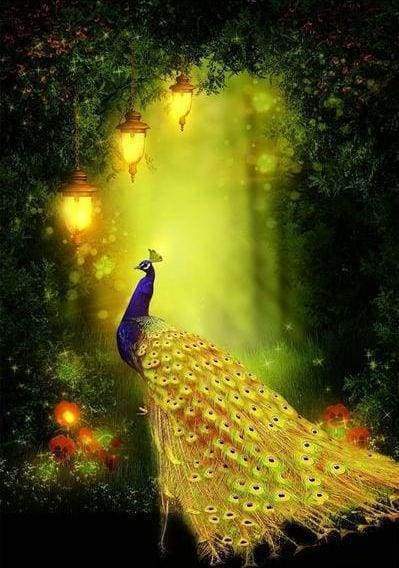 Diamond Painting - Pavone E Luce Diamond Painting | Seos Shop ® - immagine 2