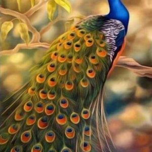 Diamond Painting - Pavone Femmina Diamond Painting | Seos Shop ®