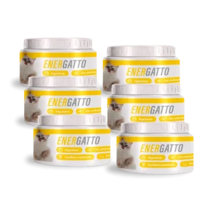 Energatto 6 Confezioni