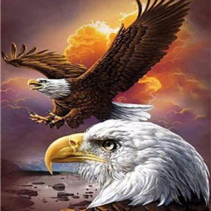 L'aquila americana Diamond Painting | Seos Shop ®