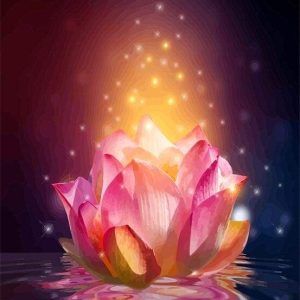 Loto Galleggia Leggero Diamond Painting | Seos Shop ®