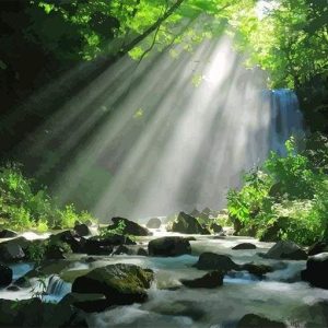 Luci Nella Foresta Diamond Painting | Seos Shop ®