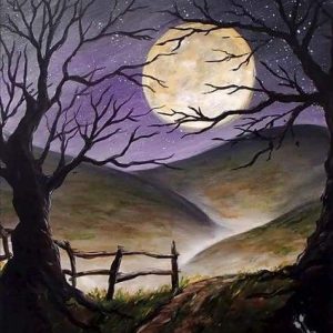 Luna Piena Al Buio Diamond Painting | Seos Shop ®