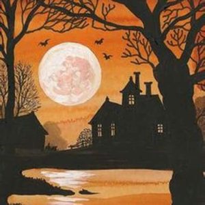 Luna Piena E Micetto Diamond Painting | Seos Shop ®