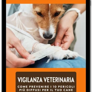 Vigilanza Veterinaria: come prevenire i 10 pericoli più diffusi per il tuo cane