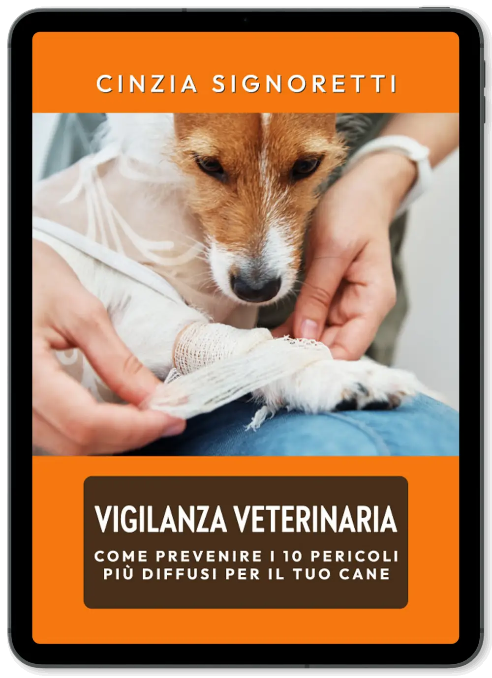 Vigilanza Veterinaria: come prevenire i 10 pericoli più diffusi per il tuo cane - immagine 2