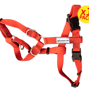 Pacchetto 1 pettorina WonderWalk