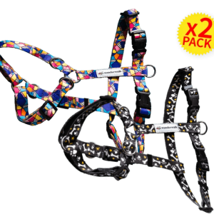 Pacchetto 2 pettorine WonderWalk