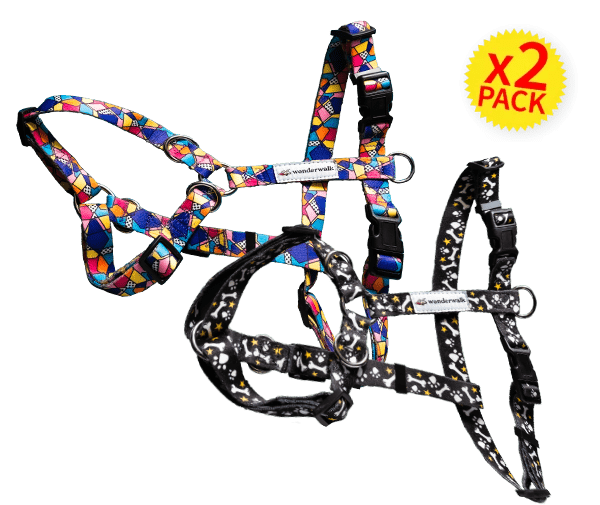 Pacchetto 2 pettorine WonderWalk
