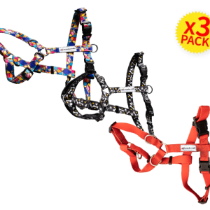 Pacchetto 3 pettorine WonderWalk