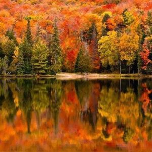 Riflessi Sul Lago In Autunno Diamond Painting | Seos Shop ®