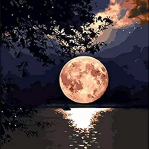 Riflessi della luna sul lago Diamond Painting | Seos Shop ®
