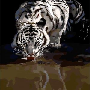 Riflesso Della Tigre Diamond Painting | Seos Shop ®
