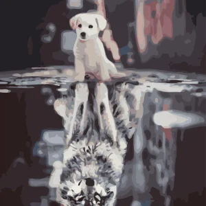 Riflesso del cane in città Diamond Painting | Seos Shop ®