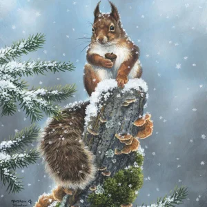 Scoiattolo appollaiato Diamond Painting | Seos Shop ®