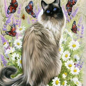 Scoperta delle farfalle Diamond Painting | Seos Shop ®