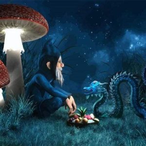 Signore Dei Draghi Diamond Painting | Seos Shop ®