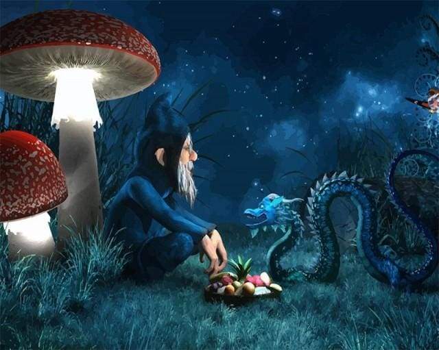 Signore Dei Draghi Diamond Painting | Seos Shop ®