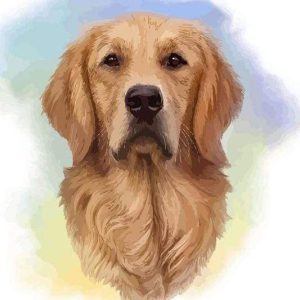 Spirito Del Cane Marrone Diamond Painting | Seos Shop ®