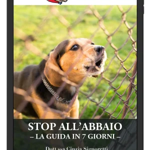 stop all’abbaio