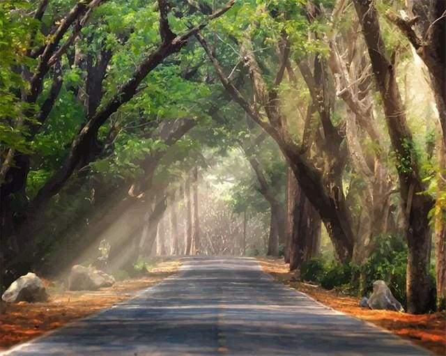 Strada Nel Bosco Diamond Painting | Seos Shop ®