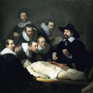 Studio Del Corpo Umano Diamond Painting | Seos Shop ®