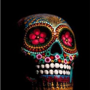 Teschio Decorato Diamond Painting | Seos Shop ®