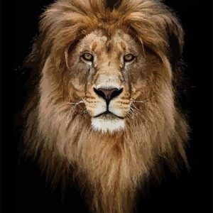 Testa Di Leone D'Oro Diamond Painting | Seos Shop ®