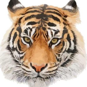 Testa Di Tigre Diamond Painting | Seos Shop ®