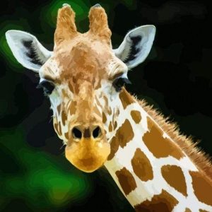 Testa E Collo Di Giraffa Diamond Painting | Seos Shop ®