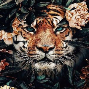 Tigre fra le foglie Diamond Painting | Seos Shop ®