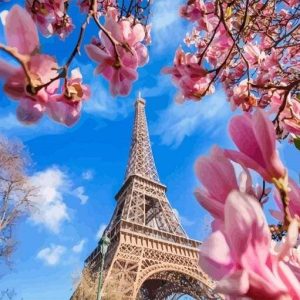 Torre Eiffel Con Fiori Diamond Painting | Seos Shop ®