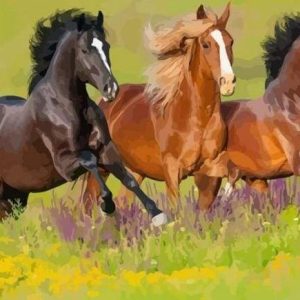 Tre Cavalli Al Galoppo Diamond Painting | Seos Shop ®