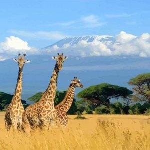 Tre Giraffe Diamond Painting | Seos Shop ®