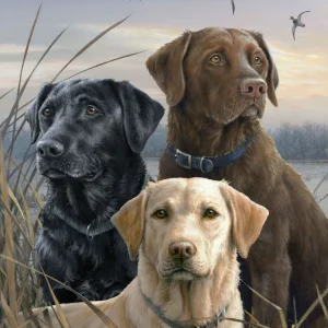 Trio di Labrador Diamond Painting | Seos Shop ®
