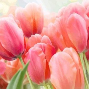 Tulipano Diamond Painting | Seos Shop ®