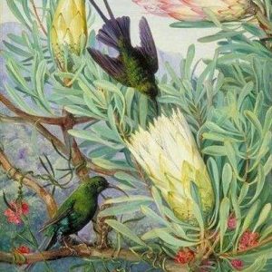 Uccelli E Grandi Fiori Diamond Painting | Seos Shop ®