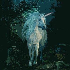Unicorno Bianco Di Notte Diamond Painting | Seos Shop ®