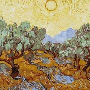 Van Gogh St Remy Diamond Painting | Seos Shop ®