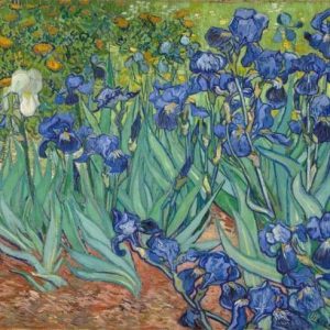 Van Gogh campo di Iris Diamond Painting | Seos Shop ®
