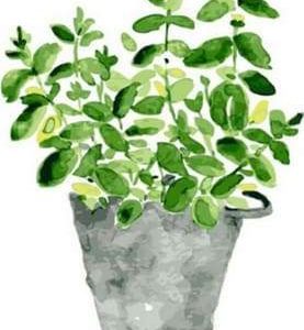 Vaso Di Piante Diamond Painting | Seos Shop ®