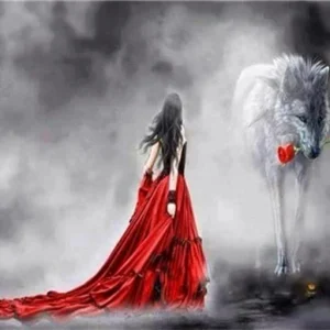 Vestito e rosa rossa Diamond Painting | Seos Shop ®