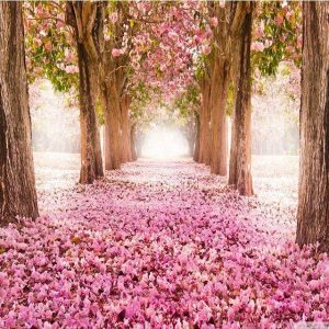 Viale in primavera Diamond Painting | Seos Shop ®