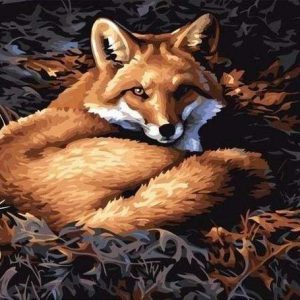 Volpe carina Diamond Painting | Seos Shop ®
